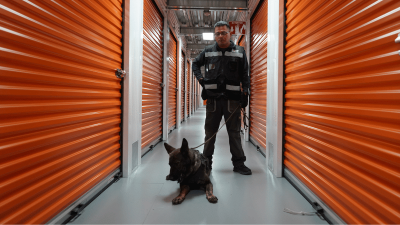 Seguridad 24 7 minibodegas zapopan